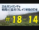 #18-14 エルデンリングを 初見で【協力プレイ】するのです