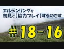 #18-16 エルデンリングを 初見で【協力プレイ】するのです