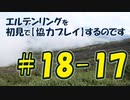 #18-17 エルデンリングを 初見で【協力プレイ】するのです