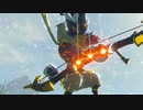 ゼルダの伝説　ブレス オブ ザ ワイルド　実況プレイPart234