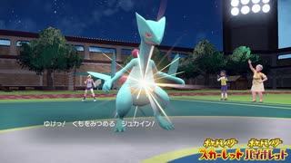 【ポケモンSV】宿木尻尾切り型ジュカインの使い方【実況】