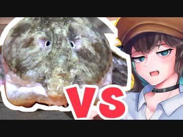 BBA VS 宮舞モカ【VOICEROIDキッチン】【MOCA’Sキッチン #3】