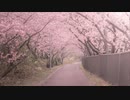 春の雨