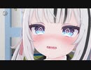 動画投稿とかは・・・勘弁して下さいね.VR1