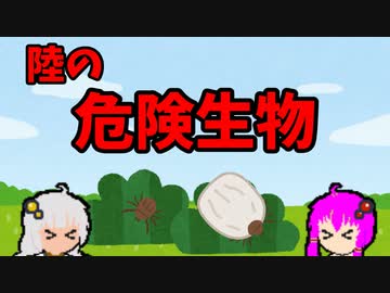 【VOICEROID解説】ゆかり先輩と見る危険生物【陸編⑬】