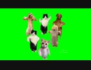 【猫ミーム】テンションがおかしい猫ミームGB集　フルバージョン