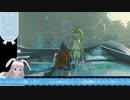 【生放送アーカイブ】ボス戦が長すぎるティアキン生放送21回目【6/8】
