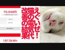 猫関連のエグい電気代、改善に取り組んだ結果…