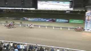 2024年4月1日川崎競馬11R スプリングヒロインカップ（エンプレス杯ＴＲ）(準重賞・4歳以上牝馬) マテリアルガール