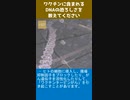 ワクチンに含まれるDNAの恐ろしさを教えてください-2