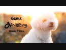犬の歯磨き屋「あなたに出逢うため」MUSIC VIDEO