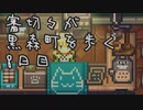 【刀剣乱舞偽実況】審切々が黒森町を歩く　八日目