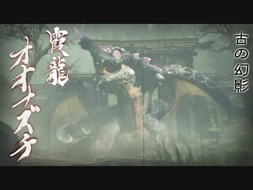 【MHRS】会長が古の幻影オオナズチを攻略実況