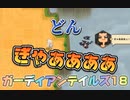 ガーディアンテイルズ18