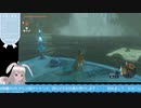 【生放送アーカイブ】ボス戦が長すぎるティアキン生放送21回目【7/8】