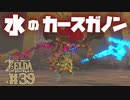 【ゼルダの伝説 BotW】#39　英傑ミファーを倒した憎い奴！水のカースガノン！