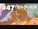 【ぽつぽつ実況 #47】エノキダ【ゼルダの伝説BoW】