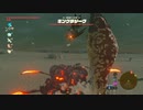 ゼルダの伝説　ブレス オブ ザ ワイルド　実況プレイPart236