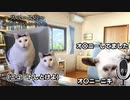 【猫ミーム】vtuberになったら人前でオ〇ニーする本物に会った話