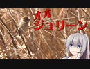 近所の鳥さん紹介日記＃7