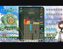 【VOICEROID実況】東北きりたんの毎日テト１チャレンジw 751日目【テトリス99】