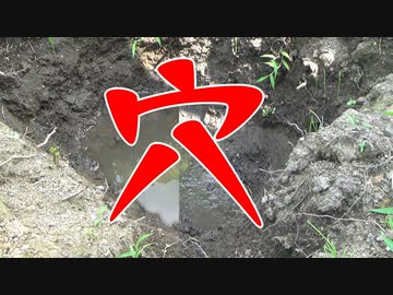 穴