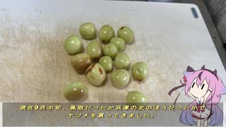 珍食材が食べたい！#181 ナツメの甘露煮