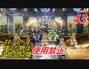 【FF1~10】一度使った物は次作品以降使用禁止プレイ part43【制限プレイ】