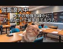 猫ミーム実話　20年間司法浪人の末路　#猫ミーム  #実話　#司法試験　＃浪人　　