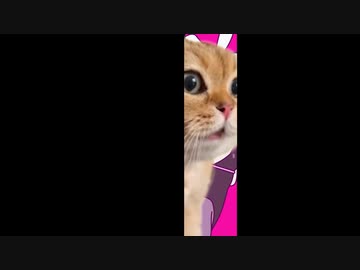 ラビットミーム