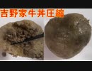 吉野家の牛丼を圧縮して食べました。I compressed Yoshinoya's beef bowl and ate it.