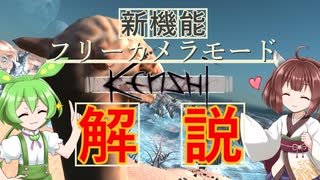 【Kenshi】フリーカメラモードの解説