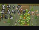【刀剣乱舞偽実況】審切々が黒森町を歩く　九日目