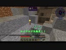 MODごちゃ混ぜ！マルチと化したマインクラフト(仮)