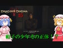 【ドラゴンズドグマⅡ】潜入！！夜のヴェルムント城#5【ネタバレ注意】