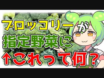 【ずんだもん解説】ブロッコリーが指定野菜になる予定だけど指定野菜って何？