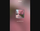 音楽作ってみた♯∞