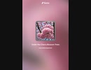 音楽作ってみた♯∞