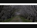 Piellius - 心象街路 (feat. Mai)