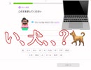 Duolingo Vol.308 私の犬とは、、？！  #英語学習 #Duolingo #外国語学習