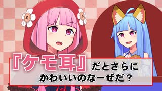 Q.『ケモ耳』だとさらにかわいいのなーぜだ？