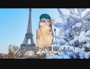 【猫ミーム】僕がホームレスになった理由　#初動画 #猫ミーム