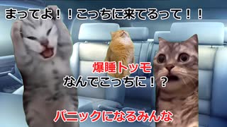 【猫ミーム】真夜中に山道をドライブしてたら不審者に襲われた話　＃猫ミーム　＃猫マニ　＃ホラー　＃ドライブ　＃幽霊　＃心霊　＃山道　＃登山　　＃友達