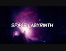 Space Labyrinth