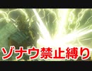 ゾナウ禁止縛りpart24【ティアキン/制限プレイ/ゼルダの伝説ティアーズオブザキングダム】
