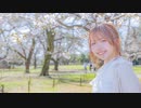 【めこた。】ハルイチ。踊ってみた【春一番】