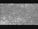 Q.神と過去は何処にあるか (日本語字幕)　feat.KaFU