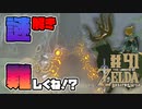 【ゼルダの伝説 BotW】#41　急に謎解き難しくなってね!?あ…バカなだけか…