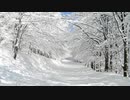 7-2,【雪-Snow】でも、雪掻きはかなり大變らしいですね