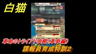 白猫　革命のトライアド攻略（革命編）　諜報員育成特訓２　ガチャキャラ　アイシャ（大剣）エリス（双剣）ザック（輝剣）　＃４６　【白猫プロジェクト】